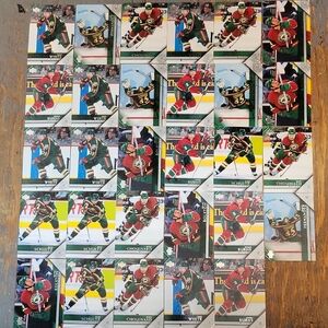 2005/06 Upperdeck Minnesoda Wilds Hockey Trading Card Collection